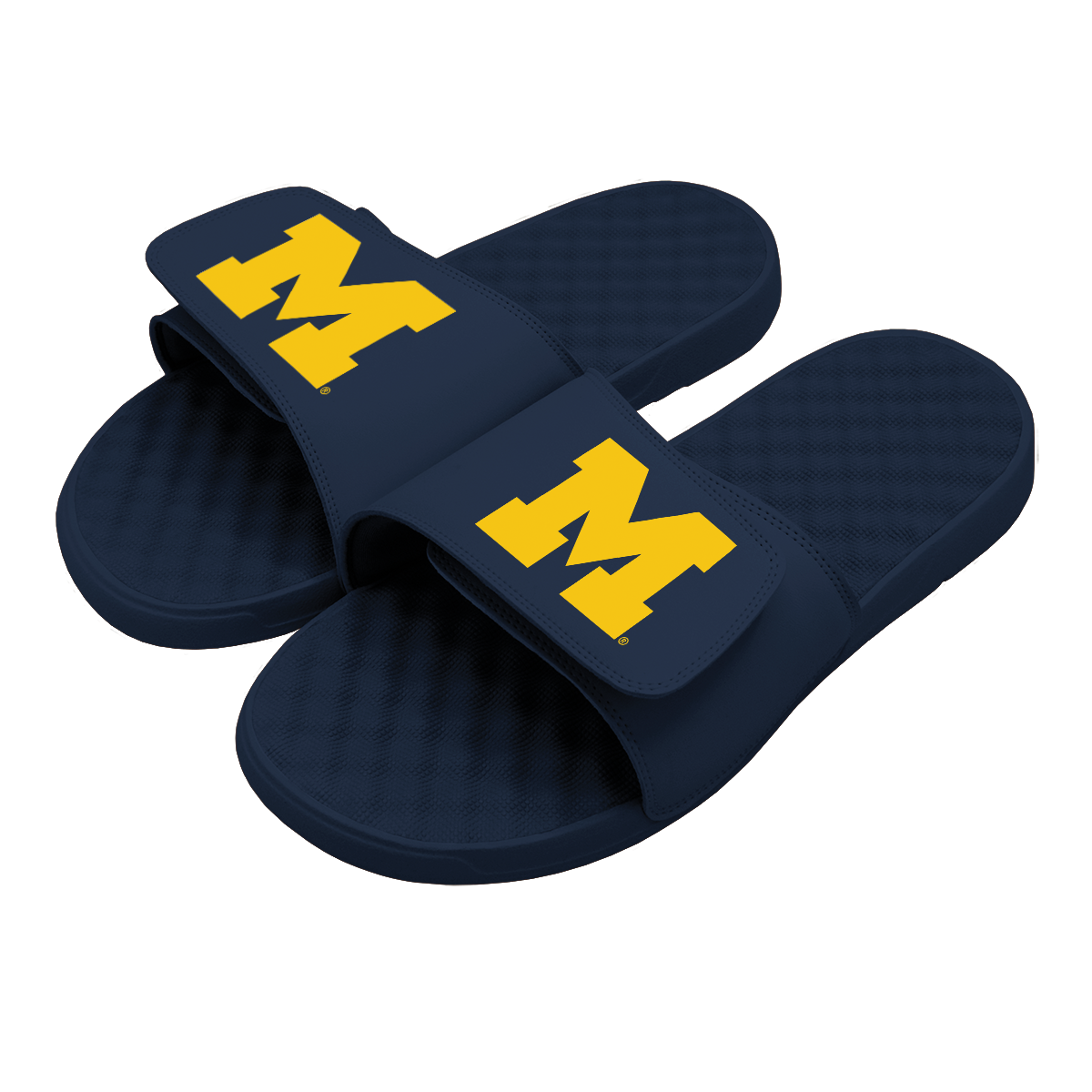 Michigan Primary Slides